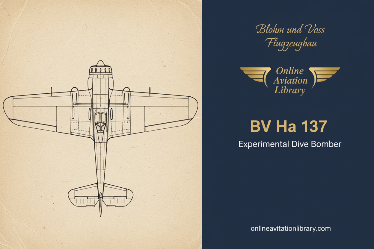 Blohm & Voss Ha 137: The Dive Bomber That Challenged Junkers