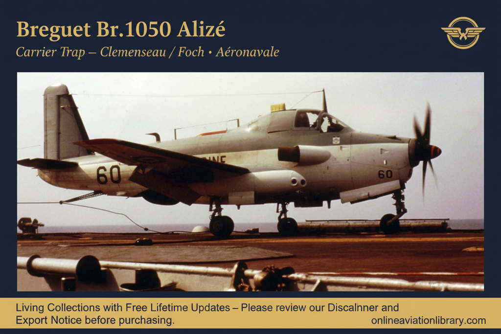 Breguet Br.1050 Alizé — Carrier Trap Colour Banner