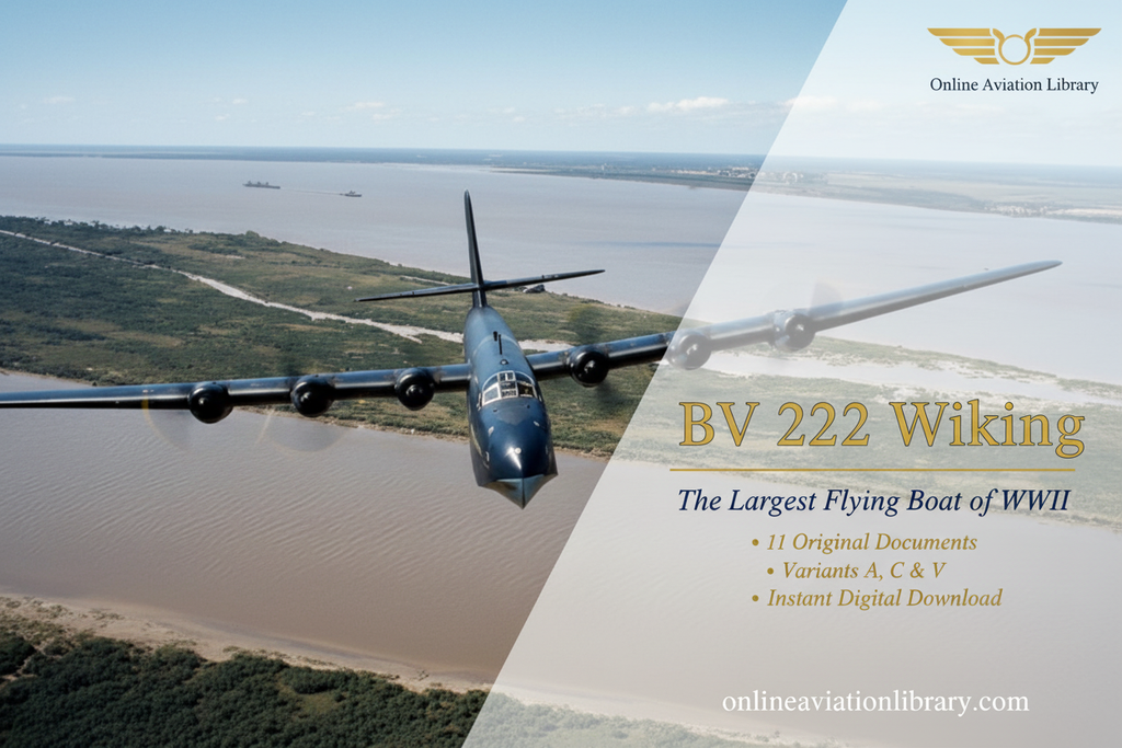 BV 222 Wiking Promotional Banner